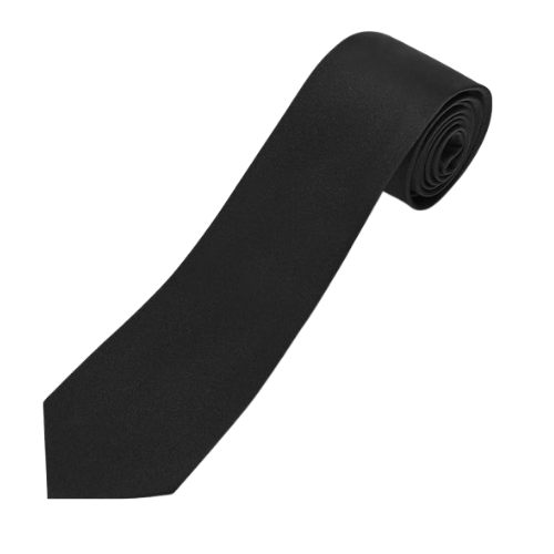 Laliya Men's Classic Solid Black Satin Necktie
