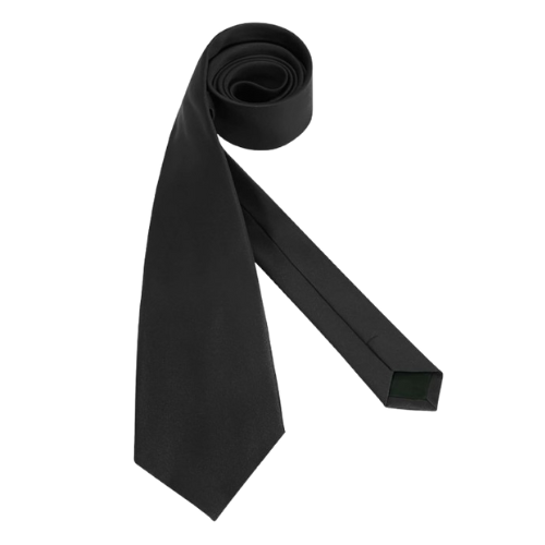 Laliya Men's Classic Solid Black Satin Necktie