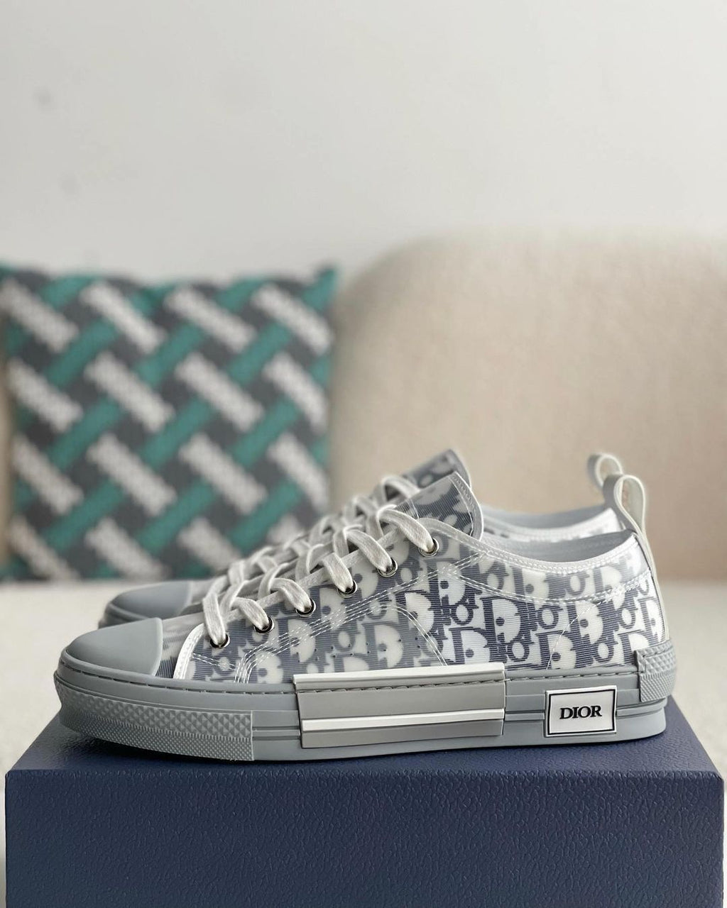 Dior B23 Low-Top Sneaker in White & Gray Dior Oblique Transparent Technical Canvas